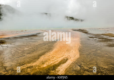 Thermophiles, calore-amoroso microrganismi, causare il giallo, arancione e marrone che la linea i canali di deflusso intorno al Grand Prismatic Spring in Ye Foto Stock