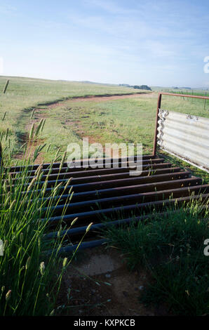 Griglia di bestiame su strada di fattoria, Cooma Aeroporto, Nuovo Galles del Sud, Australia Foto Stock