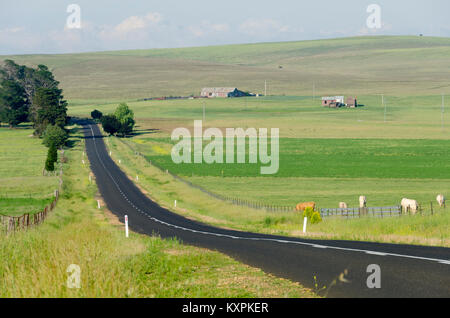 Strada attraverso la campagna, Cooma Aeroporto, Nuovo Galles del Sud, Australia Foto Stock