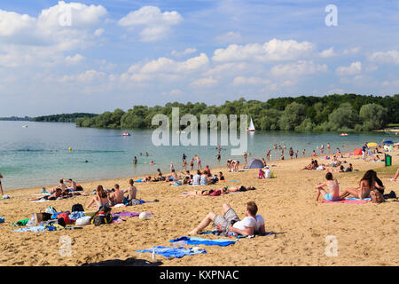 Francia, Aube (10), Champagne, Parc naturel régional de la Forêt d'Orient, lac d'Orient, Mesnil-Saint-Père, la plage // Francia Aube, Champagne, Orient Foto Stock