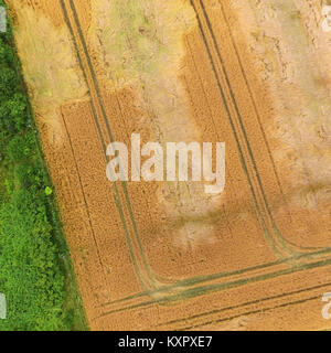 Abstract fotografia aerea di campi e di erbacce con verde e giallo le aree di rettangoli e triangoli, fatta da fuco Foto Stock