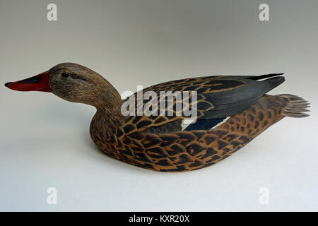 Un scolpito Mallard Duck decoy Foto Stock