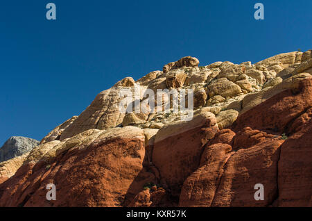 Strati differenti di arenaria colorata su di una scogliera rocciosa nella Red Rock Canyon National Conservation Area. Foto Stock