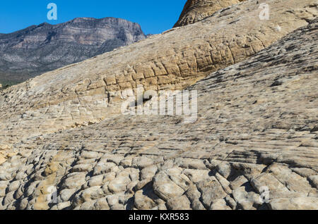 Formazione di roccia con erosione strutturata in Red Rock Canyon National Conservation Area. Las Vegas, Nevada Foto Stock