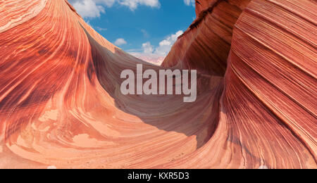 L'onda - Incredibile formazione di roccia in Arizona. Foto Stock