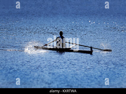 Vogatore competitive sul fiume Charles, Cambridge, Massachusetts, USA. Foto Stock