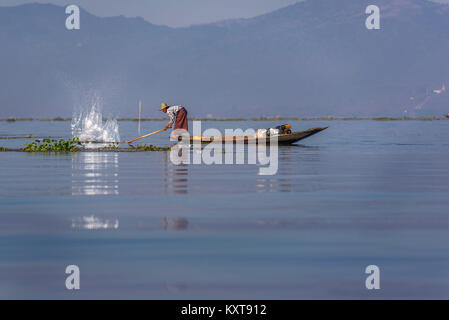 Inle pescatore di catturare pesci nel Lago Inle, Myanmar Foto Stock