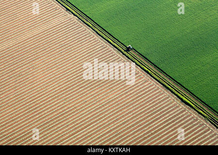 Fotografia aerea su terreni agricoli in Napa Valley con gli agricoltori che lavorano. linee grafiche angoli interessanti verde e beige Foto Stock