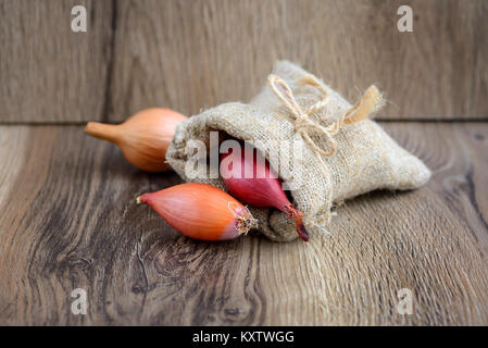 Bulbo secco cipolle per piantare in un sacco di piccole dimensioni su sfondo di legno Foto Stock