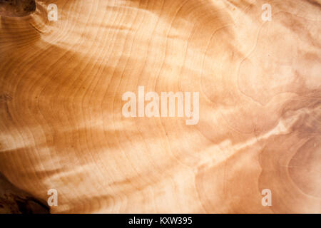 Close-up di un bellissimo iridato e scintillante schema naturale di gnarl in legno. Foto Stock