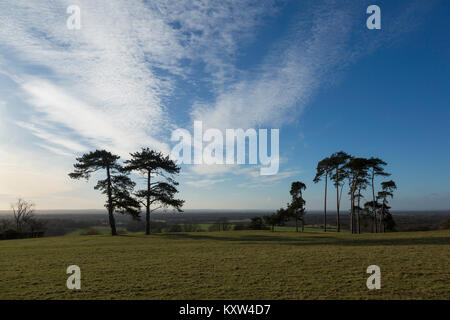 Vista sul Kentish Weald da Pluckley, UK. Foto Stock