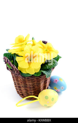 Vaso di fiori di giallo primula con le uova di Pasqua di bianco su sfondo isolato Foto Stock