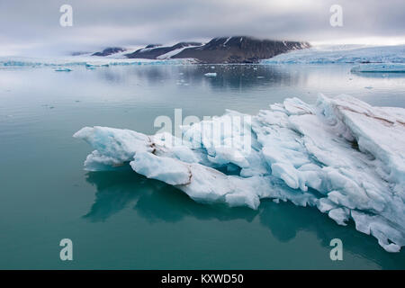 Glaçon davanti Monacobreen, ghiacciaio Haakon VII Terra che sfocia nella Liefdefjorden, Spitsbergen / Svalbard Foto Stock