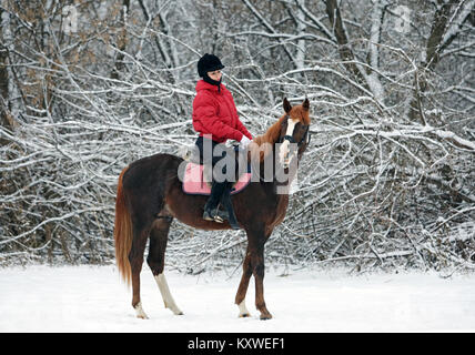 Pretty Woman in sella il suo cavallo attraverso la neve alla mattina di Natale Foto Stock