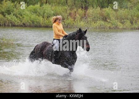 Signora giovane cavaliere al galoppo attraverso l acqua Foto Stock