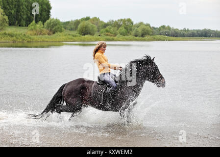 Signora giovane cavaliere al galoppo attraverso l acqua Foto Stock