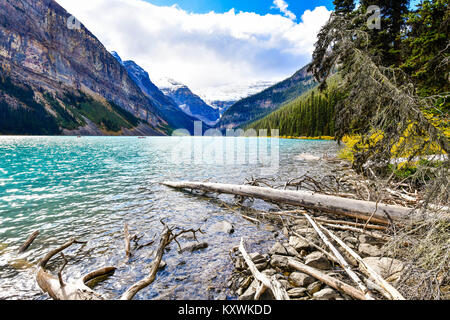 Bellissime vedute di autunno iconica Lake Louise nel Parco Nazionale di Banff, Alberta, Canada Foto Stock