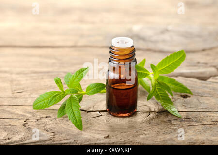 La verbena del limone olio essenziale e lascia sulla tavola di legno Foto Stock