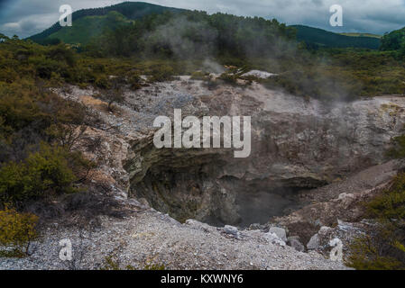 Vegetazione attorno le molle dello zolfo e dei laghi di Wai-O-Tapu, Nuova Zelanda Foto Stock