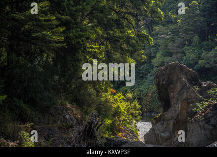 Pelorus Bridge, Posizione filmato di The Hobbit, Nuova Zelanda Foto Stock