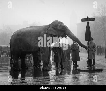 Gli agricoltori ebrei mostra per produrre con segni in yiddish e in inglese Foto Stock