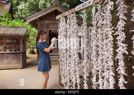 Giovane donna indossa vestito blu omikuji legatura fortune raccontando la carta presso lo Shintoismo Sakurai Santuario, Fukuoka, Giappone. Foto Stock