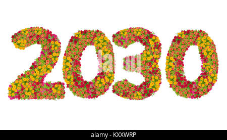 Numeri 2030 realizzato da Zinnias fiori isolati su sfondo bianco con percorso di clipping. Felice anno nuovo concetto Foto Stock