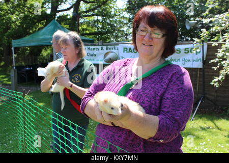 Il Lands End Pub, Ferret Gara, Woodley, Foto Stock