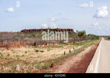 Anthills sono lungo la strada in Australian Northern Territory. Foto Stock