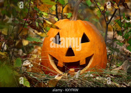 Zucca di Halloween su caduto foglie di autunno con un sorriso sul suo volto. Foto Stock