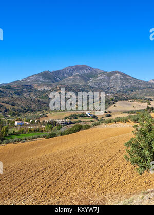 Robusto del paesaggio di montagna con lo spagnolo paesaggio agricolo in andalusia con oliveti e la collina di campi arati sotto un cielo blu Foto Stock