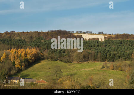 Distintivo e altamente visibile, gigantesco Kilburn White Horse, intagliata sulla ripida scarpata pendio sopra i fitti boschi - North Yorkshire, Inghilterra, Regno Unito. Foto Stock