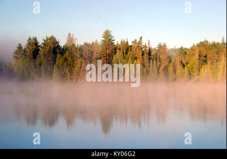 Riflessi nella nebbia sul Lago di carpe in Quetico Provincial Park in Ontario, Canada Foto Stock