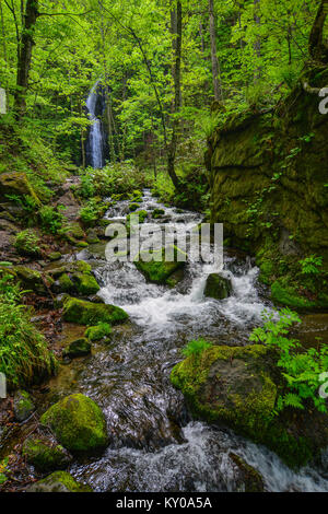 Cascata con un flusso a Oirase Gorge a Aomori, Giappone. Foto Stock