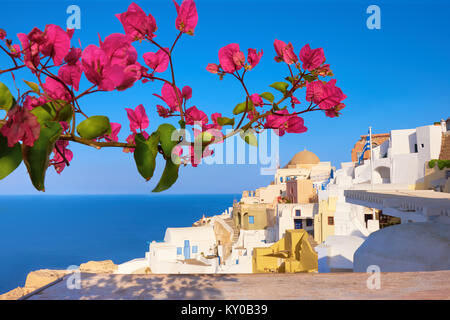 Villaggio di Oia - Santorini Island, Grecia, su un luminoso giorno, con viola Bougainvillea davanti. Foto Stock