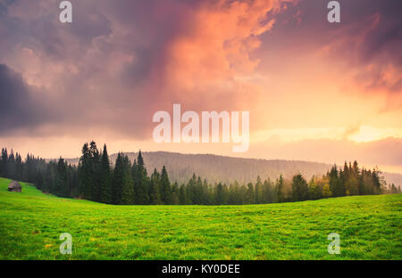 Scenic sunrise sulla verde vallata. Valli dei monti Tatra in mattina d'estate. Il pittoresco cielo sopra di prato. Foto Stock