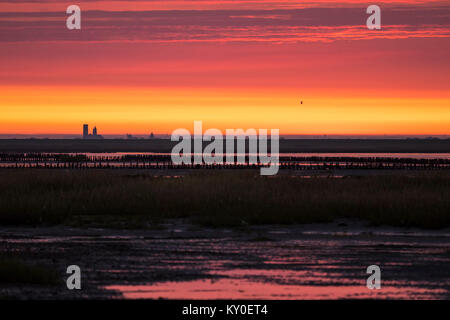 Vista del foreland est di Mandø con Ribe Cathedral in background, Foto Stock