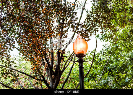 Illuminato lanterna dorata in serata in Washington DC con la riflessione della luce sulle foglie di albero in estate Foto Stock