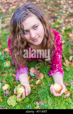 Sorridente giovane donna faccia ragazza giacente su un terreno con molti mele caduto wild fresco su erba contuso a terra su apple picking farm closeup Foto Stock