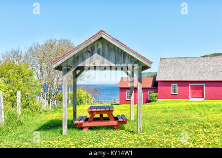 Dipinto di rosso coperti da tavola area pic-nic con il giallo dei fiori di tarassaco e vista del fiume San Lorenzo a La Martre nel Gaspe Peninsula, Quebec, Cana Foto Stock