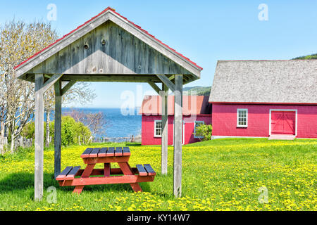Dipinto di rosso coperti da tavola area pic-nic con il giallo dei fiori di tarassaco e vista del fiume San Lorenzo a La Martre nel Gaspe Peninsula, Quebec, Cana Foto Stock