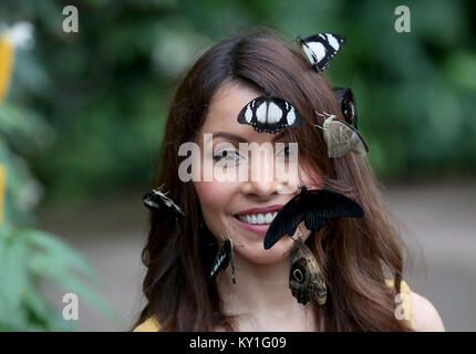 Modello Jessie Baker pone con farfalle durante un photocall per RHS Wisley giardino di farfalle in The Glasshouse mostra a Woking, Surrey. Foto Stock