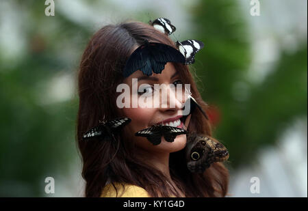 Modello Jessie Baker pone con farfalle durante un photocall per RHS Wisley giardino di farfalle in The Glasshouse mostra a Woking, Surrey. Foto Stock