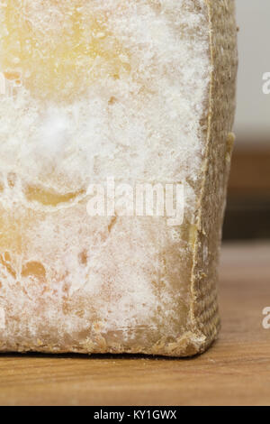 Formaggio ammuffito close up. Strato stampato di comte formaggi sul tagliere. Foto Stock