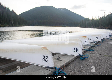 Canoa bianco in fila ormeggiato sulle sponde di un lago. Foto Stock