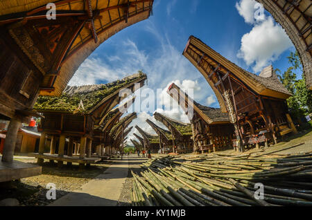 Casa Tongkonan in Palawa, Nord Toraja. Foto Stock