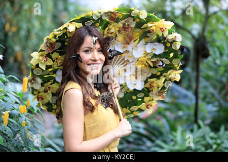 RHS Wisley Gardens, Surrey, Regno Unito. Xii gen, 2018. Jessie Baker raffigurata con un ombrellone floreali tra le farfalle di lanciare le farfalle in serra presentano al giardino RHS Wisley, Surrey che corre dal 13 gennaio - 4 Marzo 2018 più di 50 specie di esotici liberi di volare farfalle abiteranno la zona tropicale della cattedrale-come Serra per questo accattivante presentano. Credito: Oliver Dixon/Alamy Live News Foto Stock