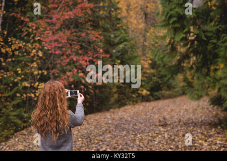 Donna di scattare una foto con il telefono nella foresta di autunno Foto Stock