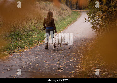 La donna a piedi nel parco con il suo cane durante l'autunno Foto Stock