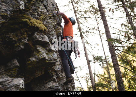 Scalatore di arrampicata la scogliera di roccia Foto Stock